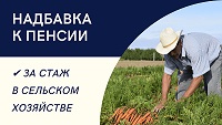 Более 44 тысяч пенсионеров Краснодарского края получают доплату за работу в сельском хозяйстве