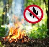 ПАМЯТКА по соблюдению правил пожарной безопасности в лесах