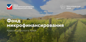 Более 30 микрозаймов было оформлено в 2022 году