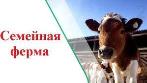 О проведении конкурсных мероприятий