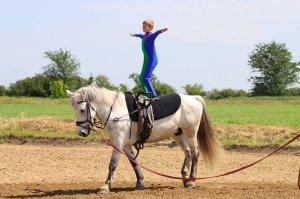 В станице Брюховецкой прошли соревнования по конным видам спорта