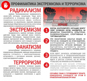 Профилактика экстремизма в молодежной среде