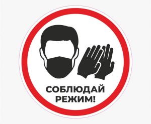 Об административной ответственности за невыполнение правил поведения при введении режима повышенной готовности на территории, на которой существует угроза возникновения чрезвычайной ситуации