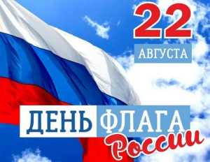 День Государственного флага Российской Федерации отметили спортсмены МО Брюховецкий район