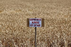 Берегите хлеб от огня!!! С каждым днем все ближе наступает горячая пора у земледельцев района - жатва хлебов нового урожая. Уборка урожая - дело не легкое. Она требует больших усилий и согласованных действий многих отраслей, организаций и служб.