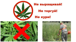 В Брюховецком районе сотрудники полиции задержали подозреваемую в незаконном хранении наркотиков