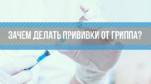 Почему необходимо сделать прививку против гриппа?