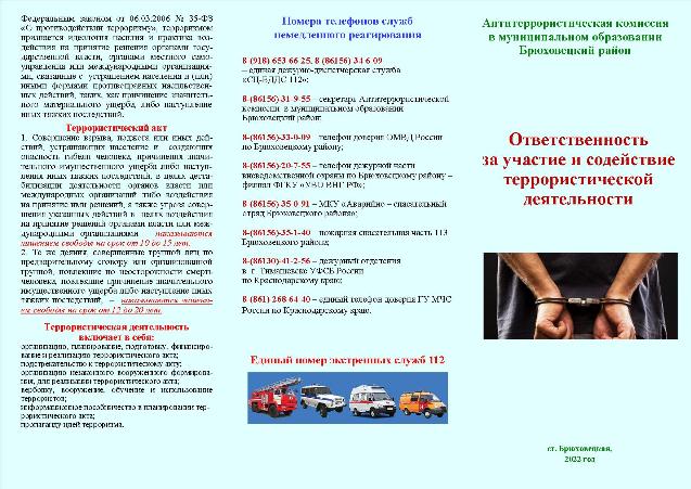 ук рф ч2 ст 205. террористический акт. статьи уголовного кодекса о терроризме. ст 205. статья 205.