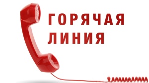 Телефоны "горячей линии" для обращения по вопросам по нарушения трудовых прав граждан
