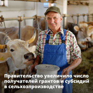 Правительство увеличило число получателей грантов и субсидий в сельхозпроизводстве