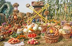 Кубанские ярмарки преобразятся