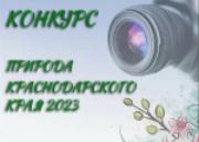 Конкурс «Природа Краснодарского края, 2023»