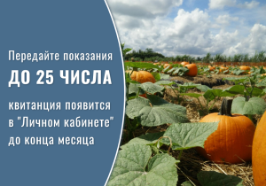 Успей подать показания