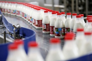 Краснодарский край стал лидером в России по производству питьевого молока
