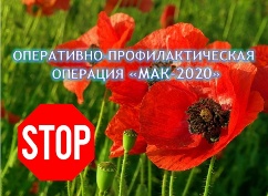 Проведен 3 этап операции "Мак-2020"