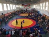 Открытый турнир муниципального образования Брюховецкий район по вольной борьбе среди юношей